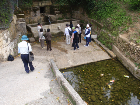 スポット名｜石積み